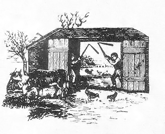 Small Scale Farming: Dairy Products Image